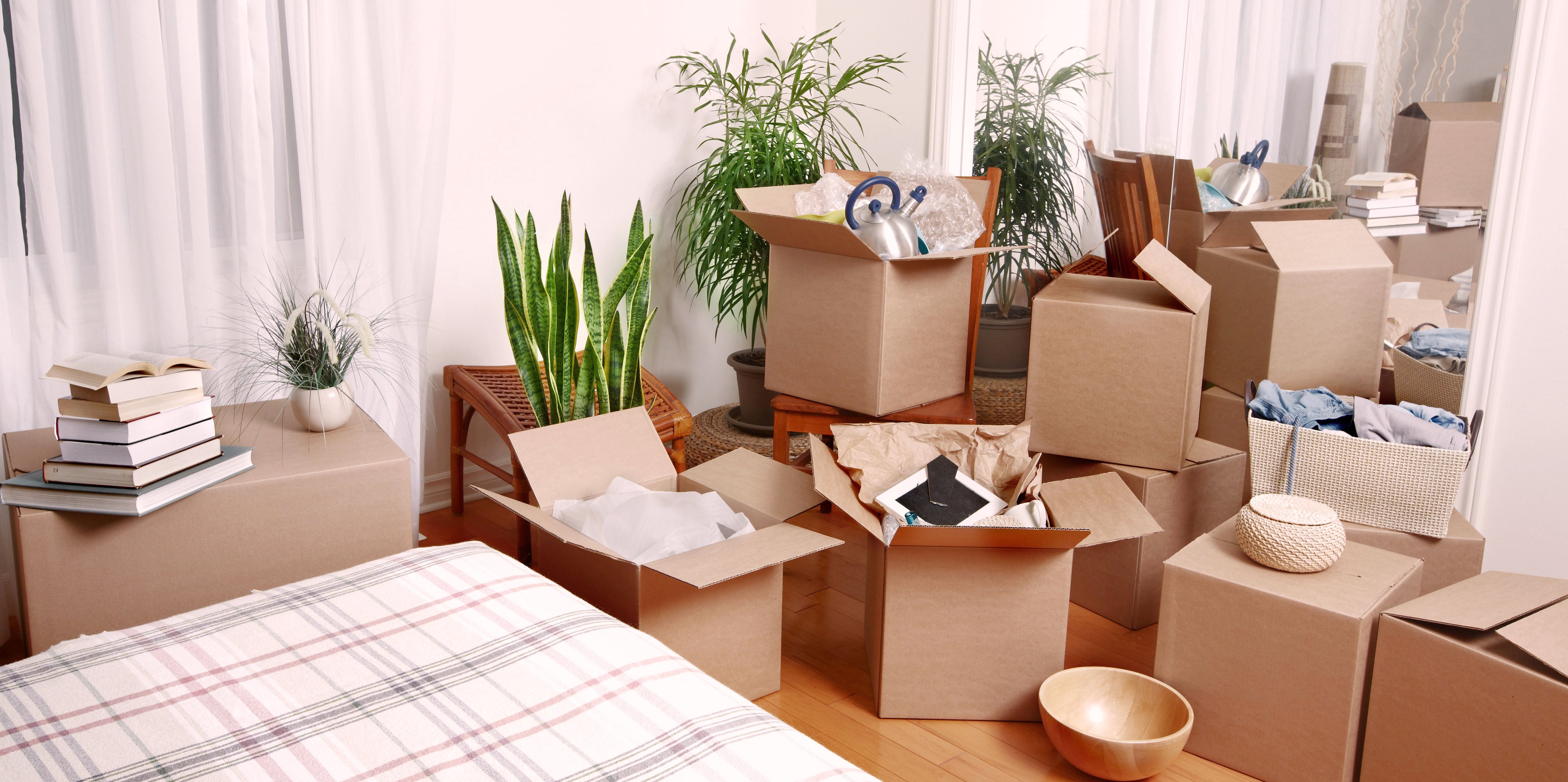 نقل الأثاث الضخم بأمان مع الحفاظ على جودة الأثاث